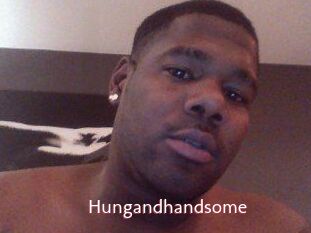 Hungandhandsome