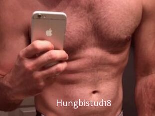 Hungbistud18