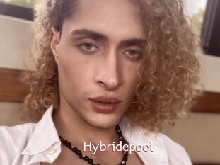 Hybridepool
