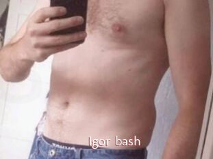 Igor_bash