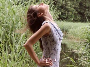 Ingera