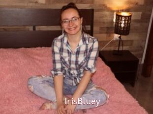 IrisBluey