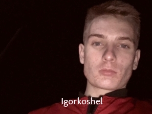 Igorkoshel