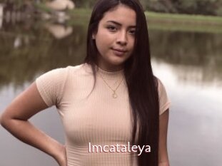 Imcataleya