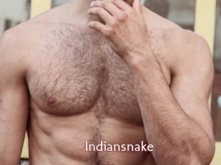Indiansnake
