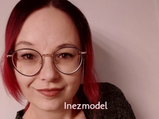 Inezmodel