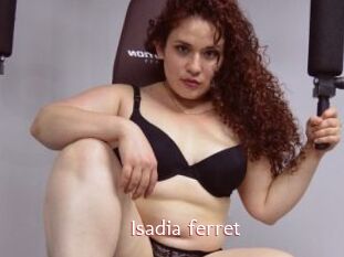 Isadia_ferret