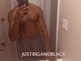 JUSTBIGANDBLACK