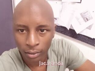 Jacaranda