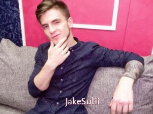 JakeSulii