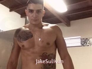 Jake_Sulivan