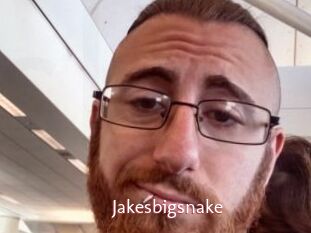 Jakesbigsnake