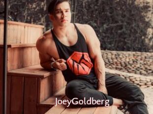 JoeyGoldberg
