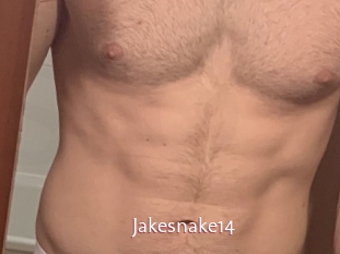 Jakesnake14