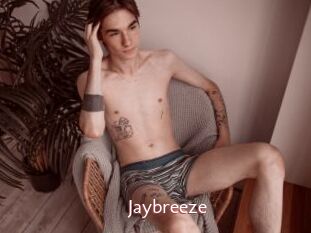 Jaybreeze