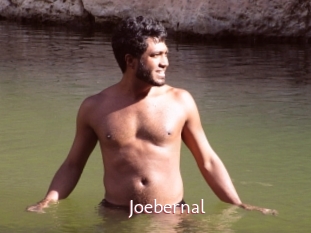 Joebernal