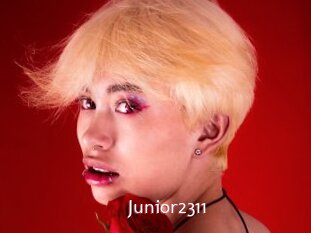 Junior2311