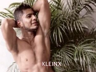 KLEINX