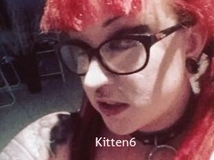 Kitten6