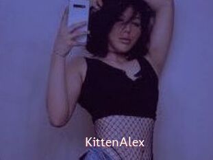 KittenAlex