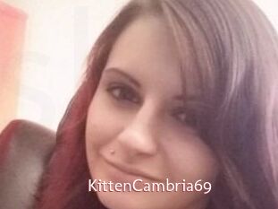 KittenCambria69