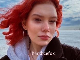 Kandicefox