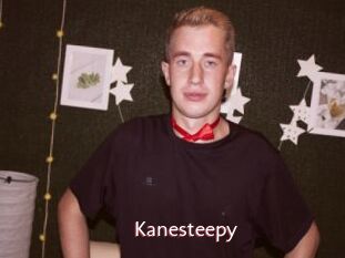 Kanesteepy