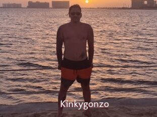 Kinkygonzo
