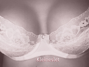 Kleineslet