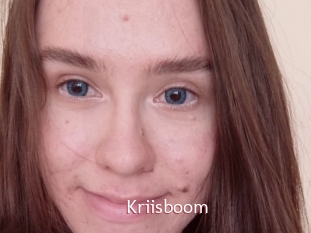 Kriisboom