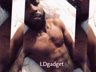LDgadget