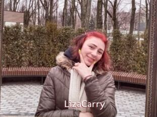 LizaCarry