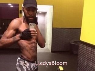 Lledys_Bloom