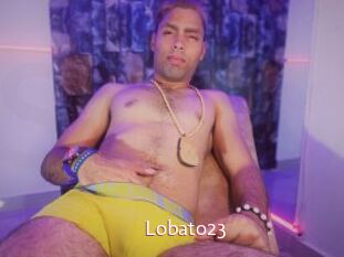 Lobato23
