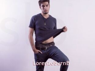 LorenzoBurnB