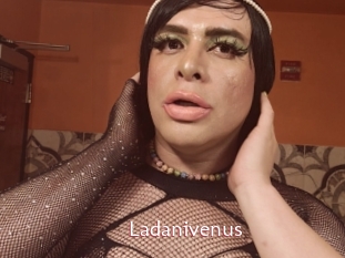 Ladanivenus