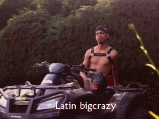 Latin_bigcrazy