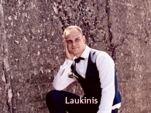 Laukinis