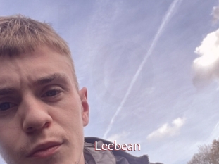 leebean Sweet links only