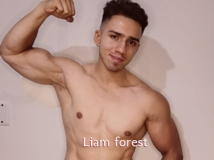 Liam_forest