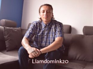 Liamdomink20