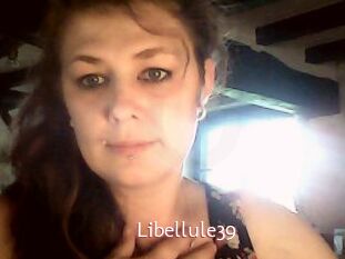 Libellule39