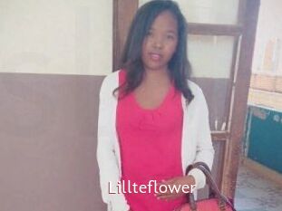 Lillteflower