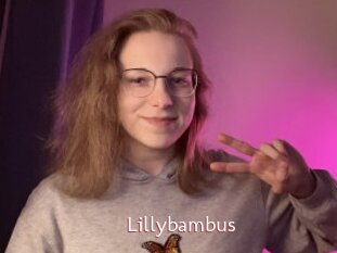 Lillybambus