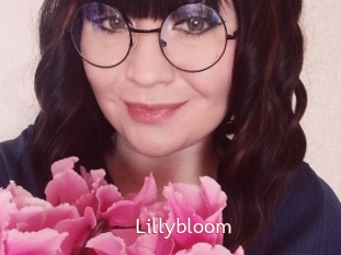 lillybloom Sweet links only
