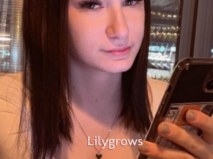 Lilygrows