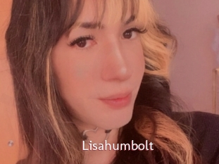 Lisahumbolt