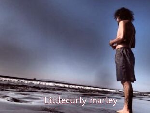 Littlecurly_marley