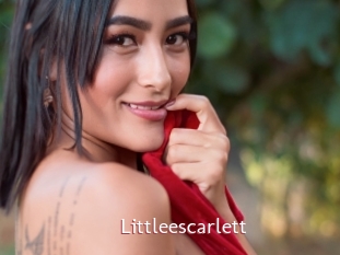 Littleescarlett