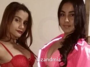 Lizandmia